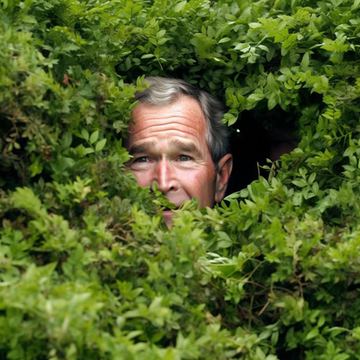 George W Bush Lee Sin — Lee Sin custom skin