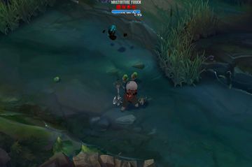 MagTorture yorick — Yorick custom skin