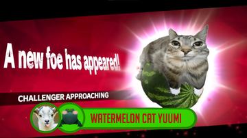 Watermelon Cat Yuumi — Yuumi custom skin