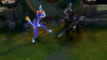 Yuumi Zed — Zed custom skin